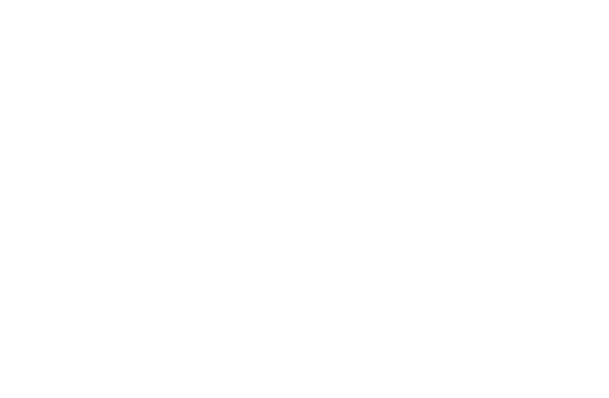 Logo Lead Fishers